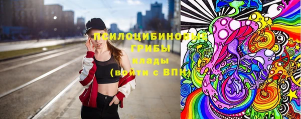 шишки Алексеевка