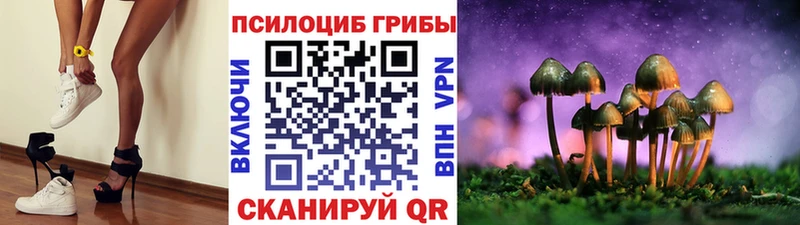 Псилоцибиновые грибы прущие грибы  купить наркоту  Амурск 