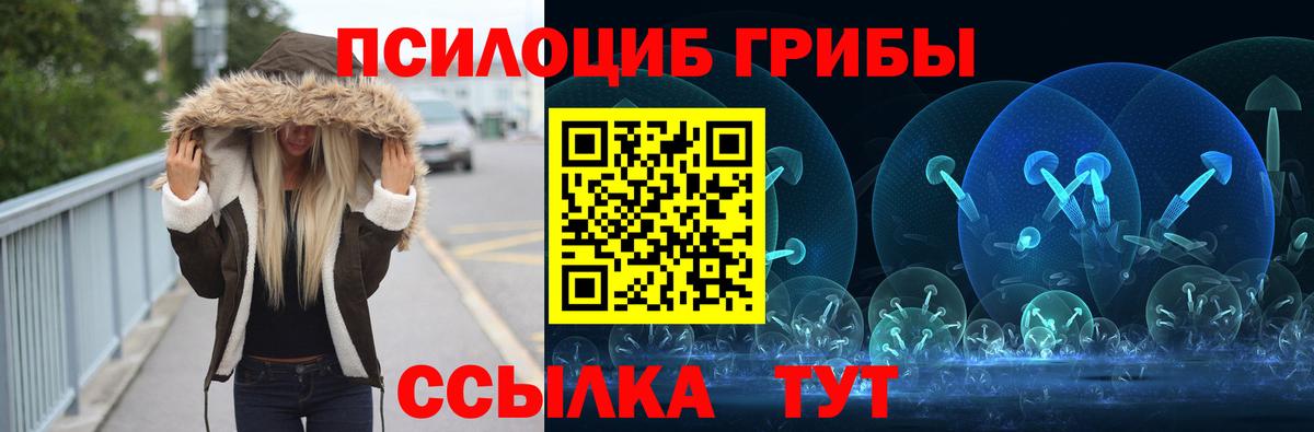 Амурск  Галлюциногенные грибы Psilocybe  Вход с VPN 