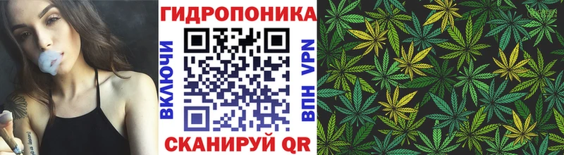 omg как зайти Амурск Бошки Шишки семена